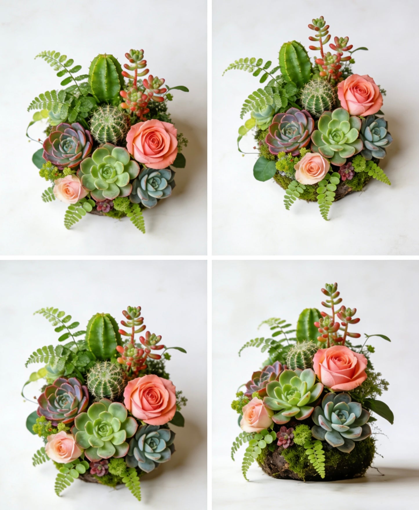 phbikprtuh Living Moss & Succulent Centerpiece: A Timeless Blend of Nature’s Elegance for Your Home