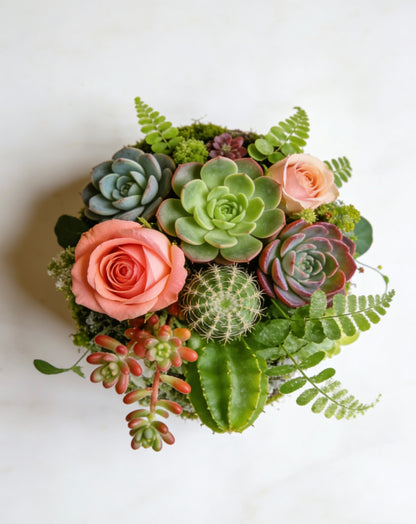phbikprtuh Living Moss & Succulent Centerpiece: A Timeless Blend of Nature’s Elegance for Your Home