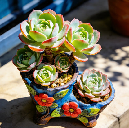 Vibrant Hand-Painted Floral Ceramic Succulent Planter – Dual-Well Artisanal Pot for Elevated Plant Displays