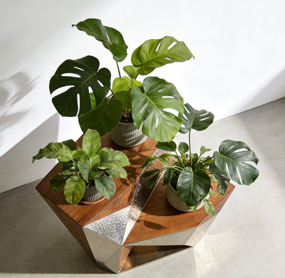 Apex Geometric Plant Stand: Sculptural Fusion of Wood & Metal for Modern Botanicals