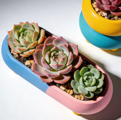 Pastel Fusion Modular Succulent Planter Set: Whimsical Color-Blocked Home for Your Botanicals