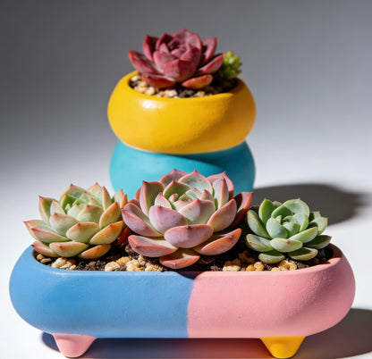 Pastel Fusion Modular Succulent Planter Set: Whimsical Color-Blocked Home for Your Botanicals