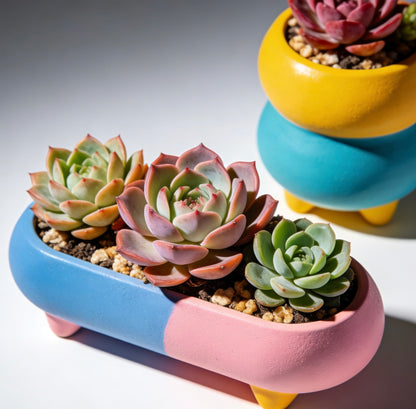 Pastel Fusion Modular Succulent Planter Set: Whimsical Color-Blocked Home for Your Botanicals