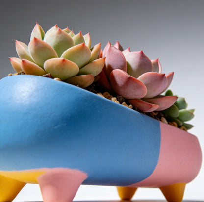 Pastel Fusion Modular Succulent Planter Set: Whimsical Color-Blocked Home for Your Botanicals