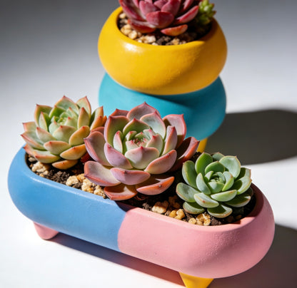 Pastel Fusion Modular Succulent Planter Set: Whimsical Color-Blocked Home for Your Botanicals