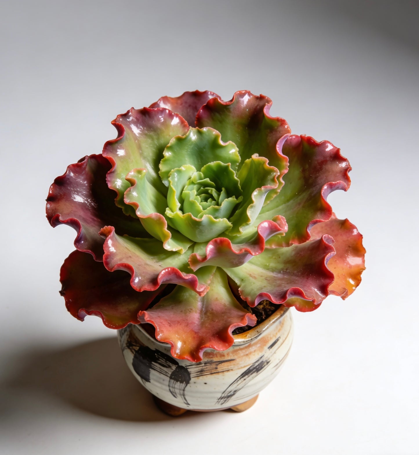 Kintsugi Whisper Ceramic Succulent Planter: Timeless Artistry for Your Botanical Masterpiece