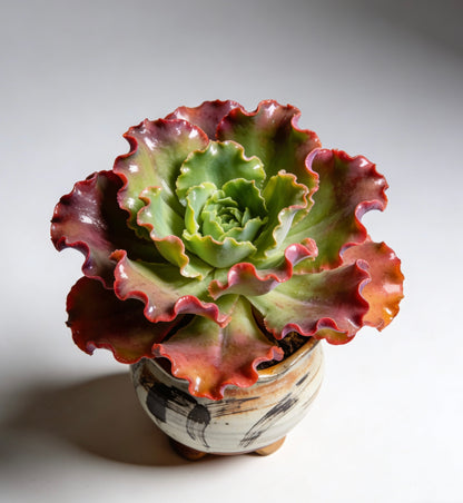 Kintsugi Whisper Ceramic Succulent Planter: Timeless Artistry for Your Botanical Masterpiece