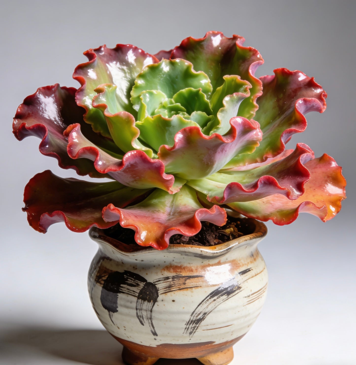 Kintsugi Whisper Ceramic Succulent Planter: Timeless Artistry for Your Botanical Masterpiece