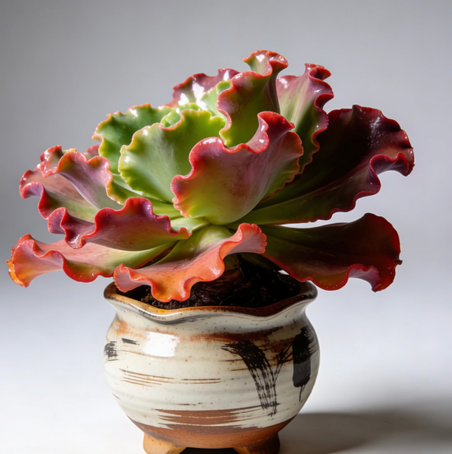 Kintsugi Whisper Ceramic Succulent Planter: Timeless Artistry for Your Botanical Masterpiece