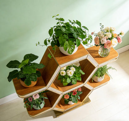 Aurelian Hexaflora Plant Stand: A Gilded Geometric Canvas for Your Botanical Collection